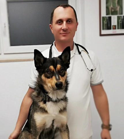 MikiVet pas Miki i dr. vet. Milan Milković